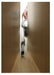 EAN 5035048458389 - Black & Decker PV1820L aspiradora de mano Cromo Sin bolsa imagen 12