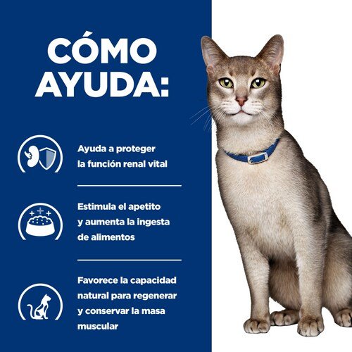 EAN 0052742043760 - Hills 605986 comida húmeda para gatos 3 kg imagen 3