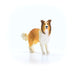 EAN 4059433761701 - schleich FARM WORLD 13998 figura de juguete para niños imagen 6