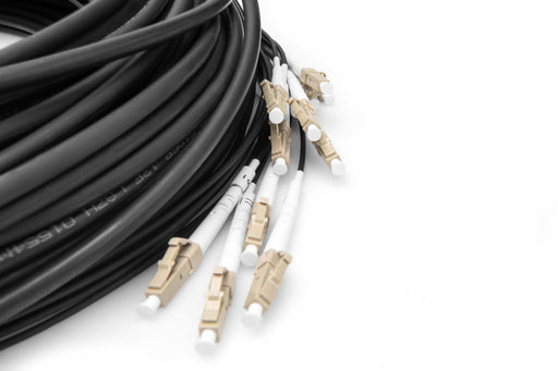 EAN 4016032484295 - Digitus DK-2433CU075BK-BBB Cable de fibra óptica e InfiniBand 75 m U-DQ(ZN) BH Negro imagen 2