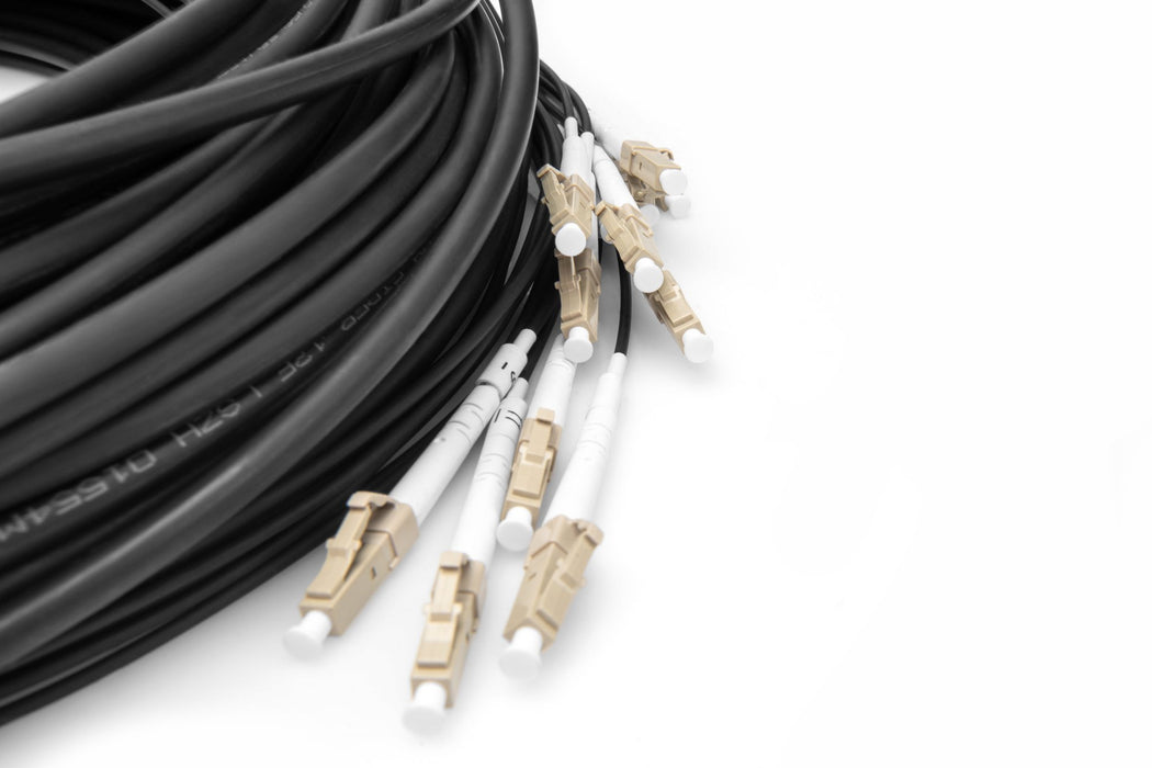 EAN 4016032484288 - Digitus DK-2433CU050BK-BBB Cable de fibra óptica e InfiniBand 50 m U-DQ(ZN) BH Negro imagen 4