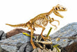 EAN 8008324081103 - Lisciani I'm a genius super kit T-Rex imagen 4