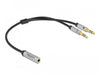 EAN 4043619667406 - DeLOCK 66740 cable de audio 0,25 m 3,5mm 2 x 3.5mm Negro, Plata imagen 1