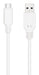 EAN 8433281014763 - Nanocable 10.01.2103-W cable USB USB 2.0 USB C USB A imagen 2
