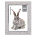 EAN 8020912059530 - ZEP Doneck B Expositor de pie retroiluminado Gris imagen 1
