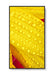 EAN 5028695127470 - NEC MultiSync M501-2 Diseño de quiosco 127 cm (50") LED 4K Ultra HD Negro Procesador incorporado imagen 8