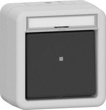 Gira 311630 Wipp-Kontroll Auswe Bsf Wg Ap Gris