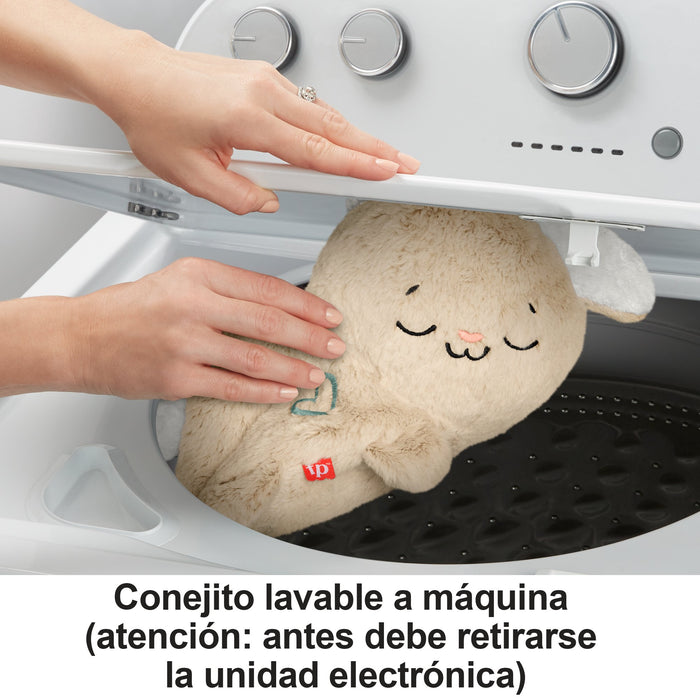 EAN 0194735229659 - Fisher-Price HXG97 juguete de peluche imagen 12