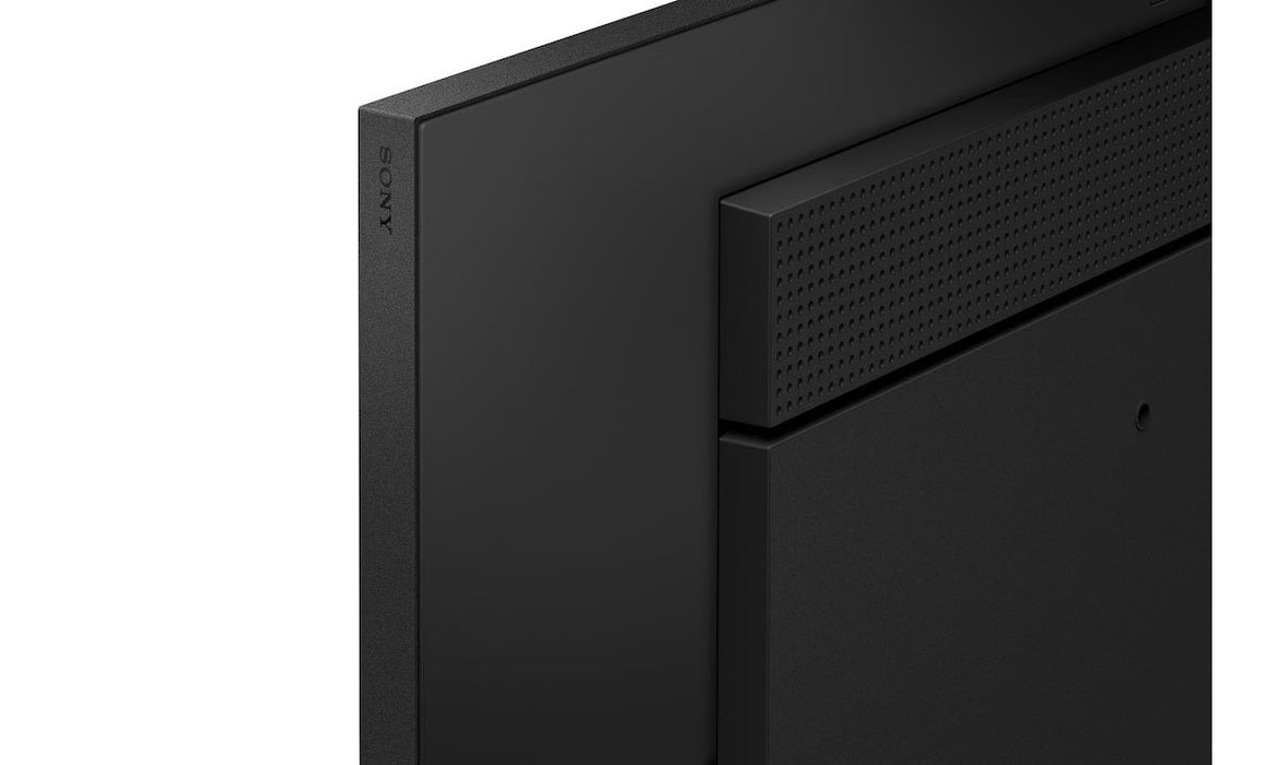 Sony 55" Pro Bravia 500nit Dbng Standard Display
