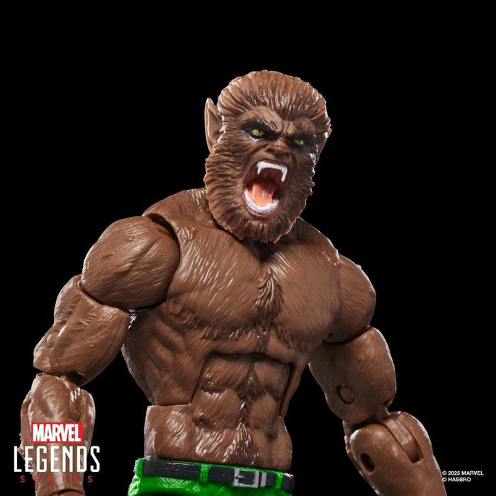 EAN 5010996317360 - Marvel Legends Series Werewolf By Night imagen 6