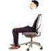 EAN 0043859600960 - Fellowes 8029901 soporte lumbar para respaldos Grafito imagen 5