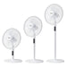 EAN 8414234472656 - Taurus Ice Brise Blanco imagen 4