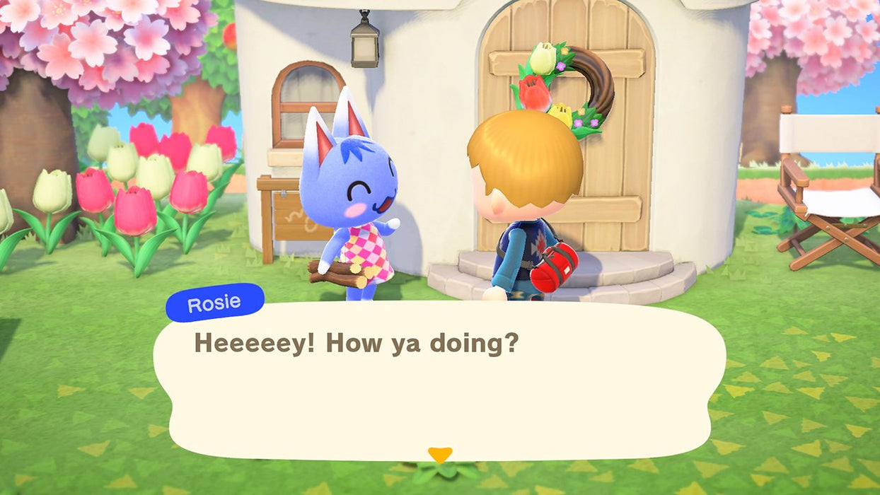 EAN 0045496425432 - Nintendo Animal Crossing: New Horizons Estándar Alemán, Inglés Nintendo Switch imagen 20