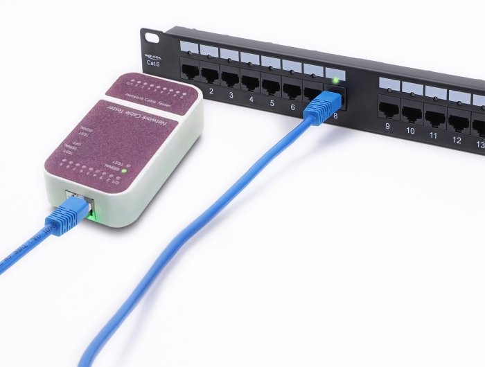 Delock 19 1he Patchpanel 24port Cat.6, Led Negro