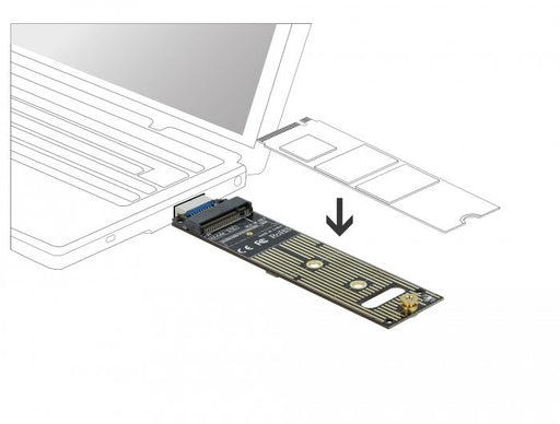 EAN 4043619640690 - DeLOCK 64069 tarjeta y adaptador de interfaz Interno M.2 imagen 2