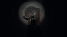 EAN 8436016712798 - Tesura Games Amber Alert imagen 6