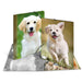 EAN 4008705071390 - HERMA 7139 carpeta Polipropileno (PP) Multicolor A4 imagen 1