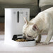 EAN 6975069302713 - PETKIT YUMSHARE Dual comedero y bebedero para perro y gato Acrilonitrilo butadieno estireno (ABS) Blanco  imagen 7