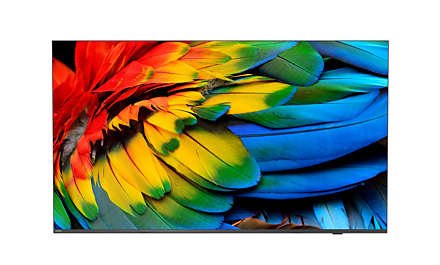 EAN 8718863030851 - Philips 65HFL6214U/12 Televisor 165,1 cm (65") 4K Ultra HD Wifi Antracita 400 cd / m² imagen 1