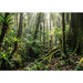 EAN 0199896593533 - HP OmniStudio All-in-One Desktop 24-cu0005ns PC Intel Core 5 120U 60,5 cm (23.8") 1920 x 1080 Pixeles 16  imagen 5