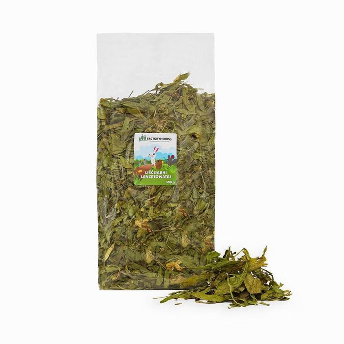 Golosina Para Roedores Y Conejos Factoryherbs Plantain Leaf  300g