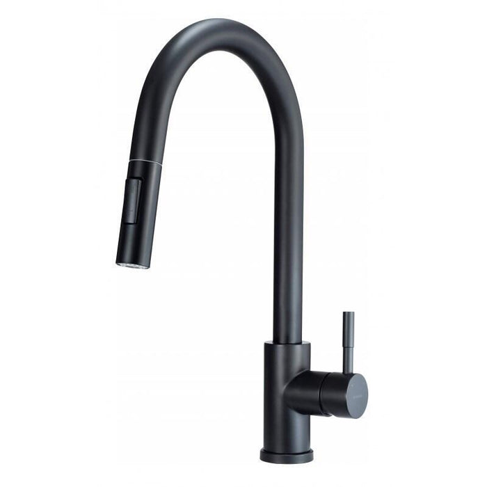 Grifo De Cocina Con Ducha Extraíble Deante Dos Flujos, Negro Lima