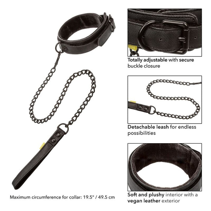 Collar Y Correa Sin Límites - Negro