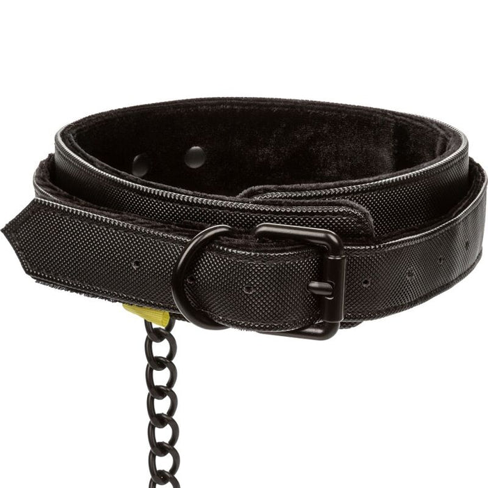 Collar Y Correa Sin Límites - Negro