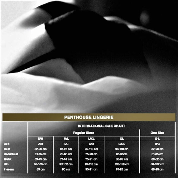 Penthouse Scandalous Teddy Negro Xl