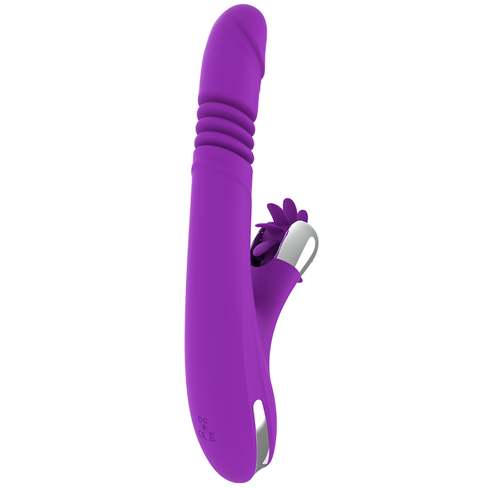 Fun Function - Bunny Funny Up & Down  2.0