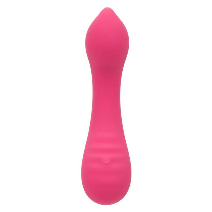 Calexotics - Pixies Teaser Rosa