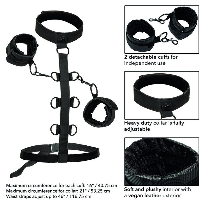 Boundless Arnés De Restricción