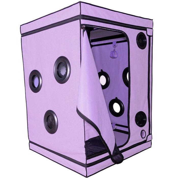 Secret Dome - Kink Club Cabina Scandale Morado