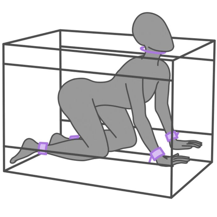 Secret Dome - Kink Club La Niche Cabina Morado
