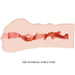 Crazy Bull - Mavis Masturbador Vagina 15.2 Cm