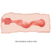 Crazy Bull - Jane Masturbador Vagina 13.5 Cm