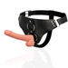 Harness Attraction - Arnés Taylor Deluxe 18 Cm -o- 4.5 Cm