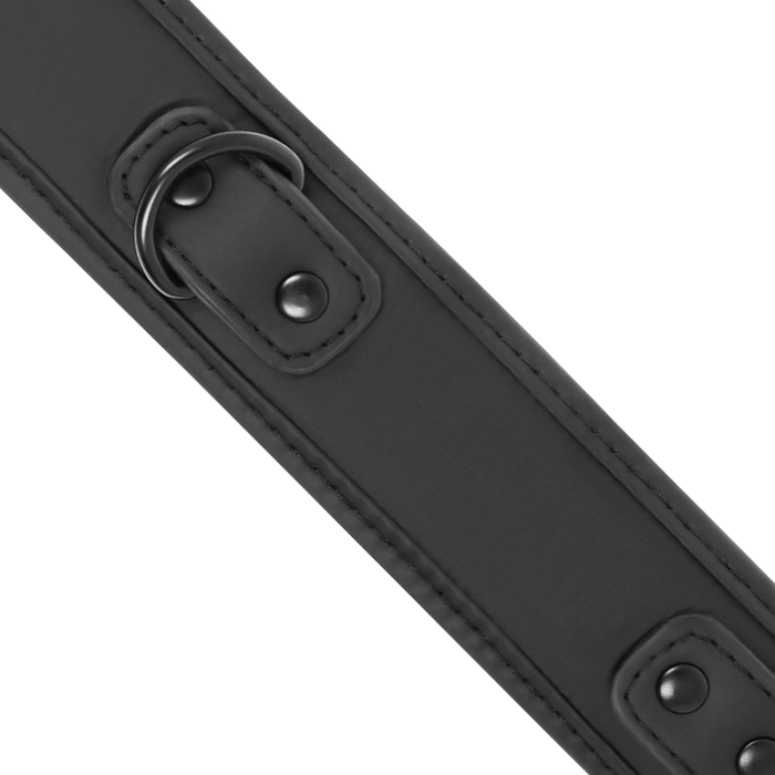 Fetish Submissive - Collar Con Cadena Con Forro De Nopreno