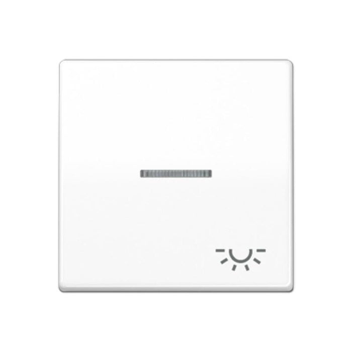 Jung As 591 Ko5l Ww Tecla Basculante Kontroll Con Luz Sistema