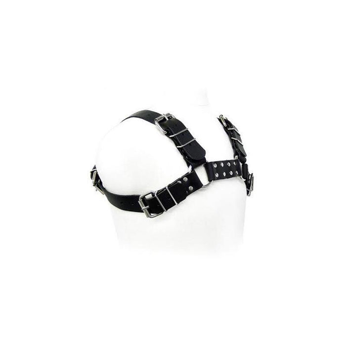 Leather Body - Black Bull Dog Harness