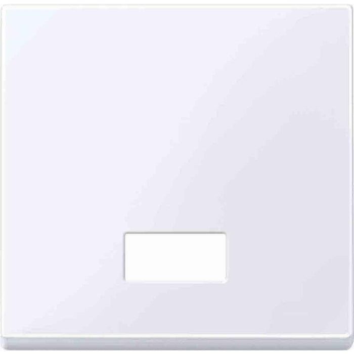 Merten 432825 Aws Tecla Basculante M Symbolfenster Rectangular Brillante