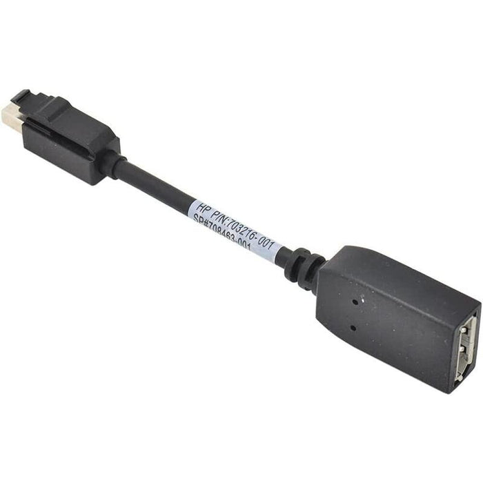 Mini Displayport To  Displayport Male Adapter