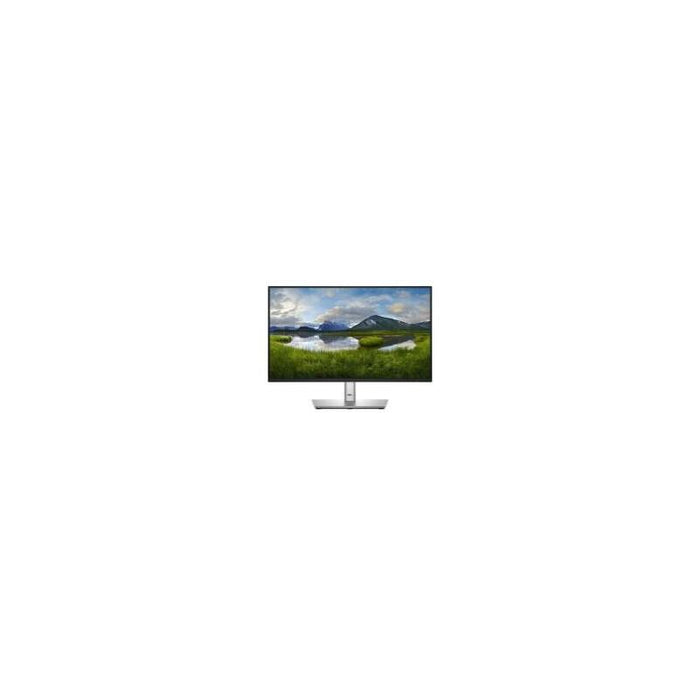 Monitor  Reacondicionado Dell  Profesiónal 22 " P2225h Regulable Vga Hdmi Dp 3 Años Negro.