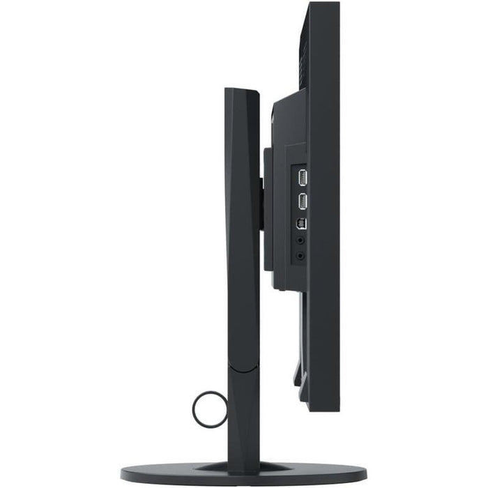 Monitor Reacondicionado Eizo 22" Ev2216w Dvi-D Vga