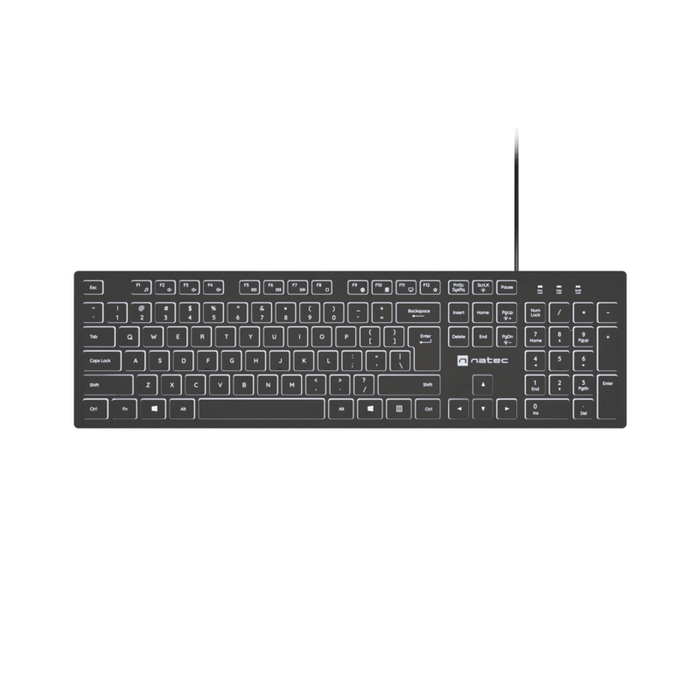 Natec Keyboard Herring Glow Us Blanco Backlight