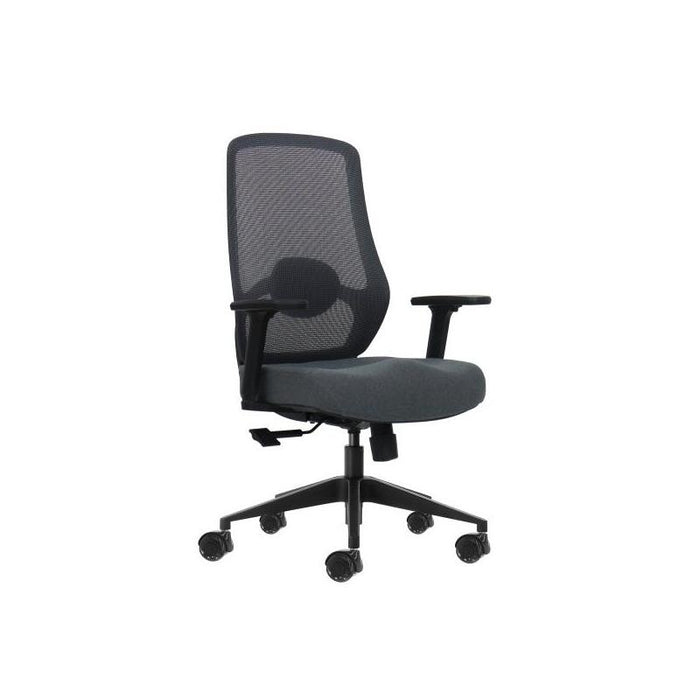 Oqonos Cherg 025 Silla De Oficina Ergonomica Con Soporte Lumbar Ajustable En Altura Y Profundidad, Reposabrazos 4d,