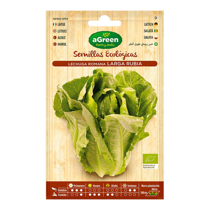 Pack De 10 Unidades - Sobre Con Semillas Eco De Lechuga Romana Larga Agreen