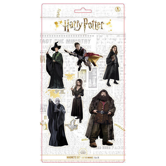 Pack De 12 Unidades - Blister 6 Imanes Personajes Harry Potter