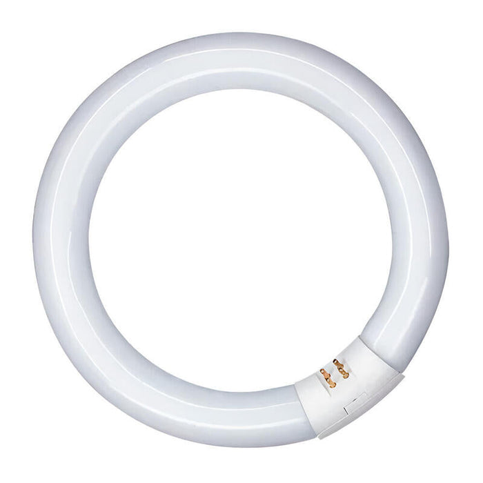 Pack De 2 Unidades - Tubo Fluorescente Circular 32w, G10q, 6500 K Luz Fria Ø300 Mm
