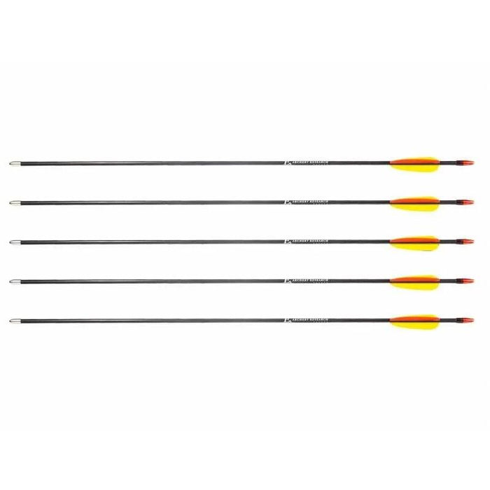 Poe Lang 28 Fibreglass Arrows - Set Of 5 (D-055-B3)